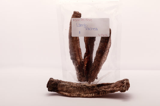 6" Lamb Trachea