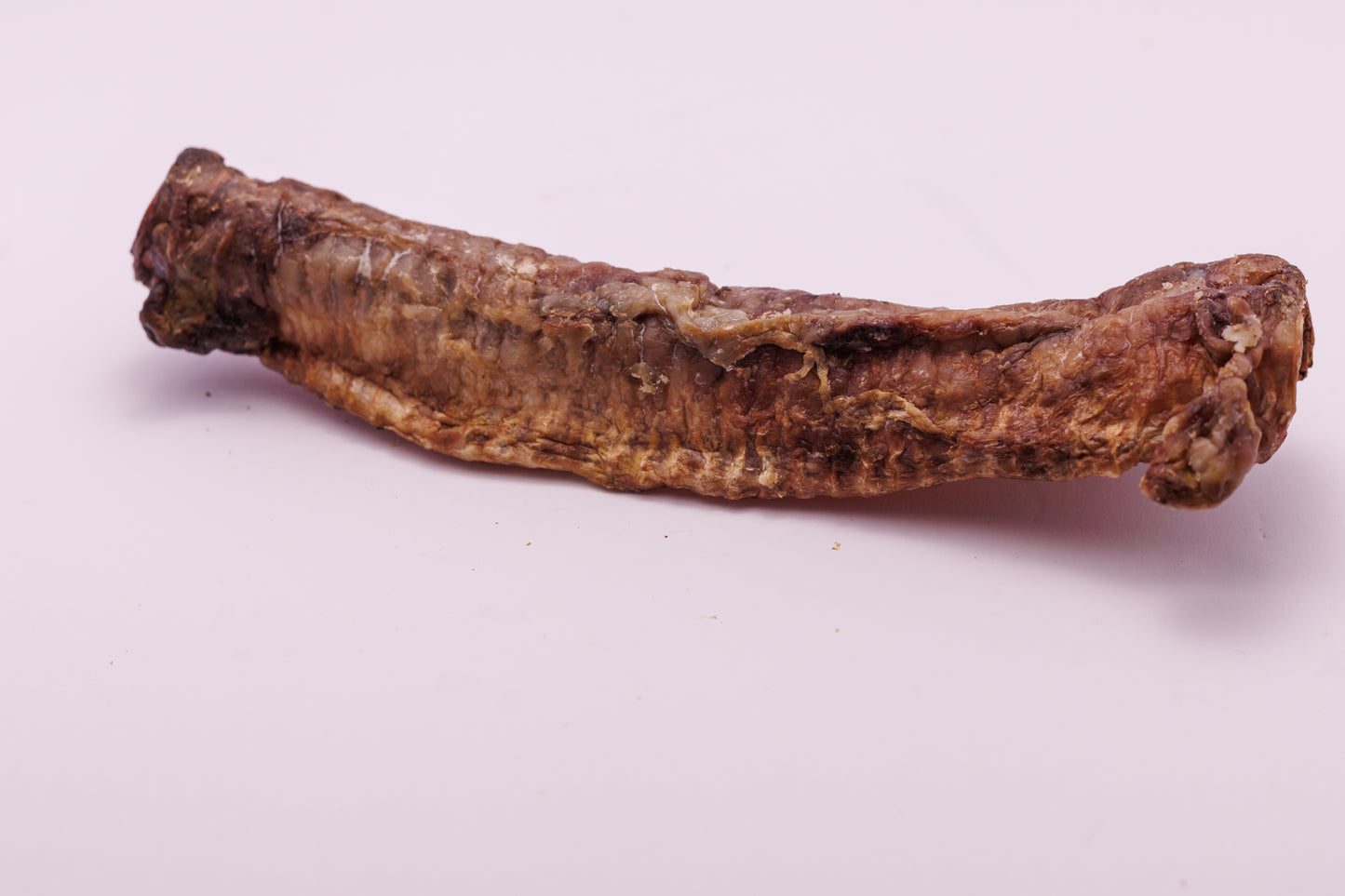 6" Lamb Trachea